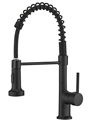 42fb60a9-bfd6-42dc-97b3-1675f344b5eb.__CR125,0,751,1001_PT0_SX300_V1___